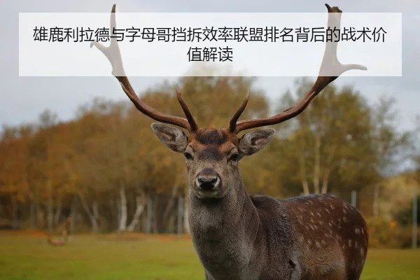 雄鹿利拉德与字母哥挡拆效率联盟排名背后的战术价值解读